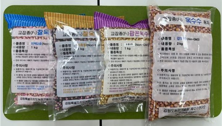 [춘천=뉴시스] 21일 강원특별자치도보건환경연구원(원장 신인철)은 지난해 강원도 내에서 생산·유통된 옥수수 종자와 콩·옥수수 가공 식품을 대상으로 유전자 변형(GMO) 오염 여부를 조사한 결과, 모두 ‘비유전자 변형 식품(Non-GMO)’으로 확인됐다고 밝혔다. 강원특별자치도 제공. *재판매 및 DB 금지