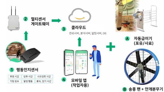 [세종=뉴시스] 축산물품질평가원은 21일 '2026년 스마트축산 패키지 보급 사업' 지원 대상 농가 43호를 최종 선정했다고 밝혔다. 사진은 정밀 사양관리를 통한 생산성 향상 및 고온 스트레스 저감을 위한 환경제어 모델 모식도. (사진=축평원 제공) 2026.01.21. photo@newsis.com *재판매 및 DB 금지