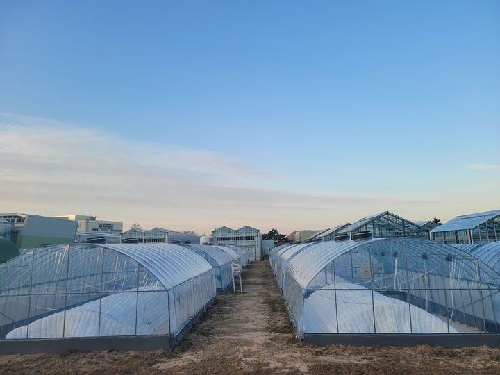 농진청, 총 218억원 규모 원예특작 시범사업 34개 편성