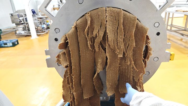 [세종=뉴시스] 농촌진흥청은 국산 콩 소비를 늘리기 위해 '대원콩'을 활용한 식물조직단백(TVP) 제조 기술을 개발했다고 21일 밝혔다. 사진은 스트립형 TVP 모습. (사진=농진청 제공) 2026.01.21. photo@newsis.com *재판매 및 DB 금지