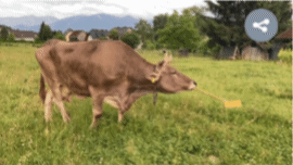 커런트 바이올로지) 2026.01.21. *재판매 및 DB 금지