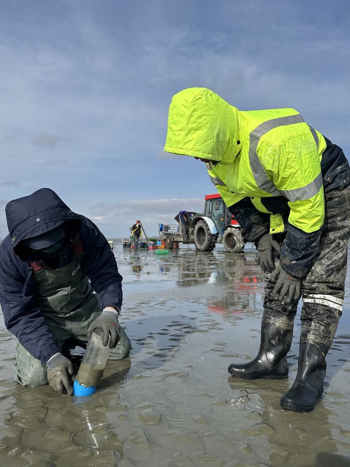 [부산=뉴시스] 바지락 어업인 현장 기술 지원 모습. (사진=국립수산과학원 제공) 2026.01.21. photo@newsis.com *재판매 및 DB 금지
