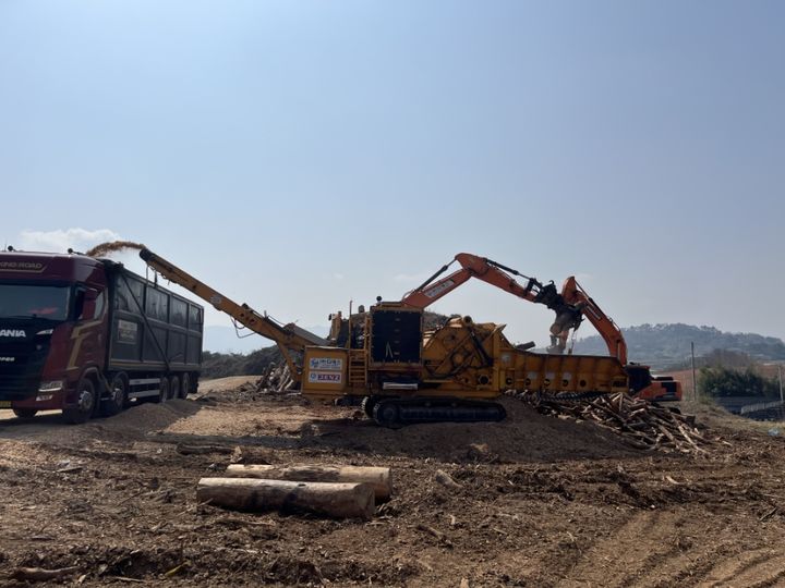 [고창=뉴시스] 고창군의 소나무재선충병 감염목 벌채작업이 진행 중이다. *재판매 및 DB 금지