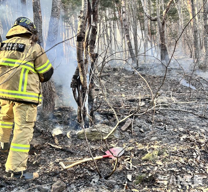 영동서 산불, 인명피해 없어…헬기투입 등 90분만에 진화