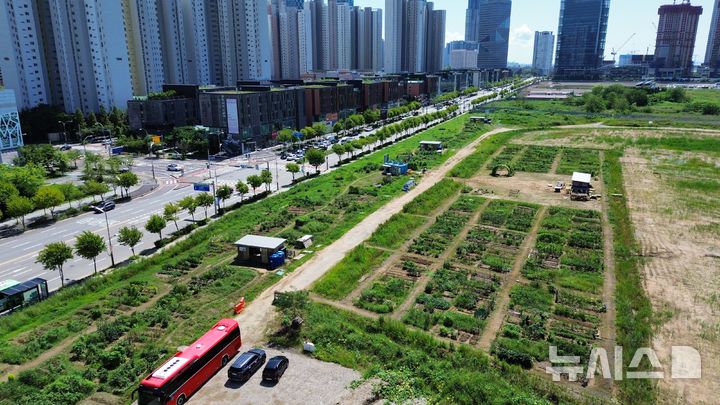 "도시·치유텃밭"…인천시, '도시농업사업' 수행단체 공모