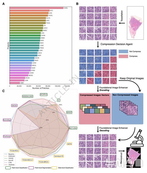 "의료 데이터 용량 부족 문제 해결"…'AI 압축기술' 개발