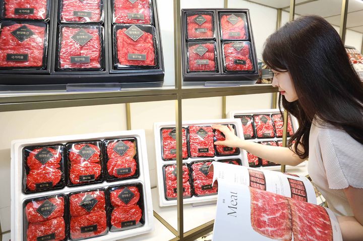 (사진=현대백화점 제공) *재판매 및 DB 금지