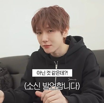 "차라리 감자탕 먹겠다"…백현, 두쫀쿠 솔직 평가 화제