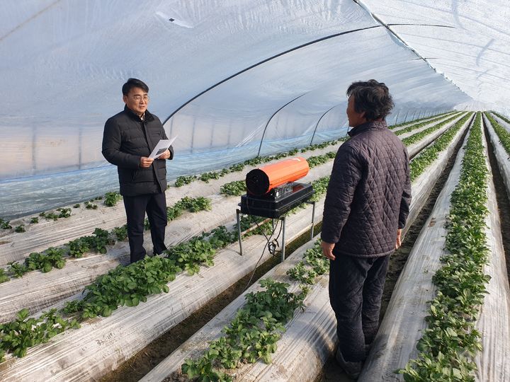 [세종=뉴시스] 김병석 농촌진흥청 국립식량과학원장이 22일 전북특별자치도 부안군 동진면 겨울 시설감자 재배 농가를 방문해 감자 생육을 살피고 농작물과 시설물의 한파 피해 방지를 당부하고 있다. (사진=농촌진흥청 제공) *재판매 및 DB 금지