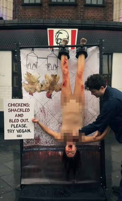 [뉴시스]한 동물보호단체가 영국 런던 도심에서 식용 닭이 도살되는 방식을 모방하는 시위를 펼쳤다. (사진 = @petauk 인스타그램 캡처) *재판매 및 DB 금지