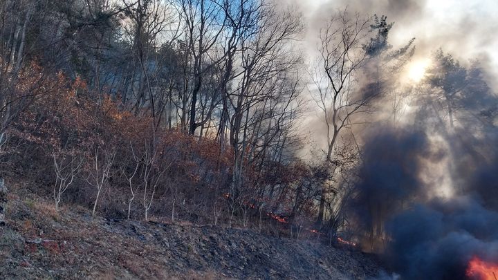 [진주=뉴시스]진주시 집현면 야산 산불, 주불진화 후 잔불 정리.(사진=경남소방본부 제공).2026.01.22.photo@newsis.com *재판매 및 DB 금지
