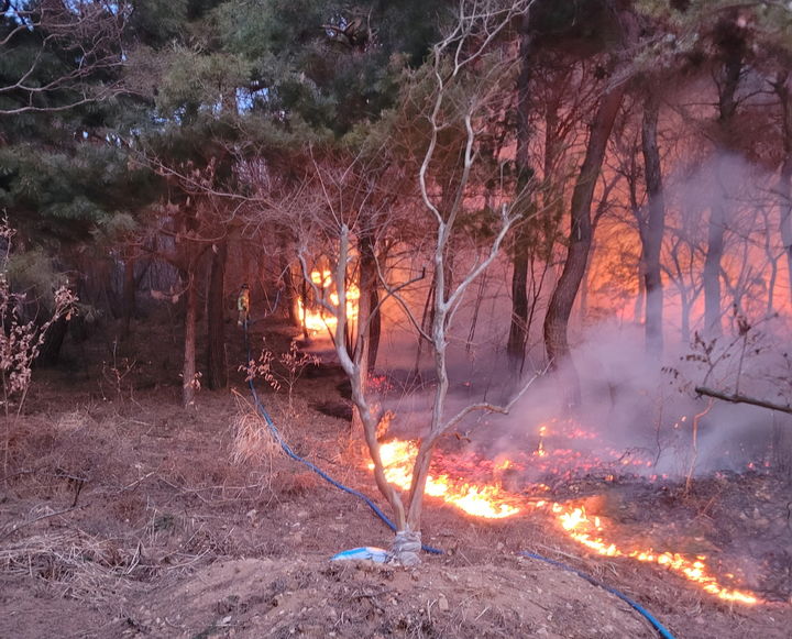 충남 논산 연산면서 산불…40분 만에 주불 진압