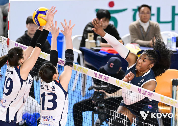 [서울=뉴시스]여자배구 도로공사 모마. (사진=KOVO 제공)