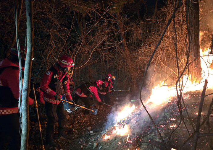  [부산=뉴시스] 21일 부산 기장군 산불 현장에서 산림청 산불특수진화대가 밤샘 진화작업을 펼치고 있다. (사진=산림청 제공) 2026.01.22. photo@newsis.com *재판매 및 DB 금지