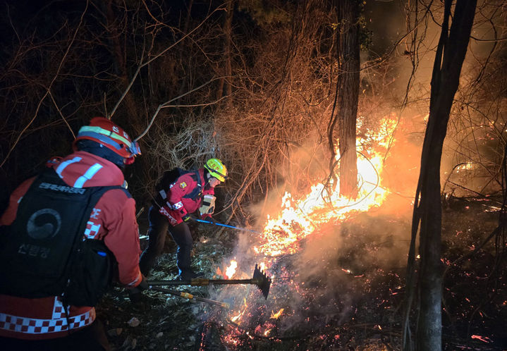  [부산=뉴시스] 21일 부산 기장군 산불 현장에서 산림청 산불특수진화대가 밤샘 진화작업을 펼치고 있다. (사진=산림청 제공) 2026.01.22. photo@newsis.com *재판매 및 DB 금지