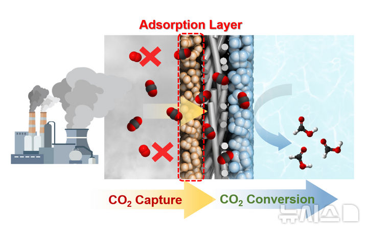 [나주=뉴시스] 한국에너지공과대학교(KENTECH·켄텍)가 희석된 이산화탄소(CO₂) 조건에서도 포집과 전환을 하나의 전극 구조 안에서 동시에 수행할 수 있는 새로운 전기화학 전극 시스템을 개발했다. (그래픽=켄텍 제공) photo@newsis.com