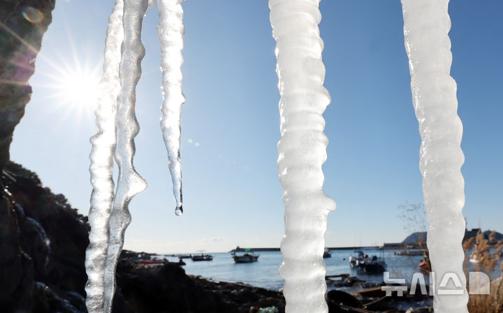  [부산=뉴시스] 하경민 기자 = 전국에 매서운 한파가 덮친 22일 부산 남구 백운포 갯바위에 고드름이 매달려 있다. 이날 부산의 아침 최저기온은 영하 7.2도로, 올 겨울 들어 가장 추운 날씨를 기록했다고 부산기상청은 전했다. 2026.01.22. yulnetphoto@newsis.com