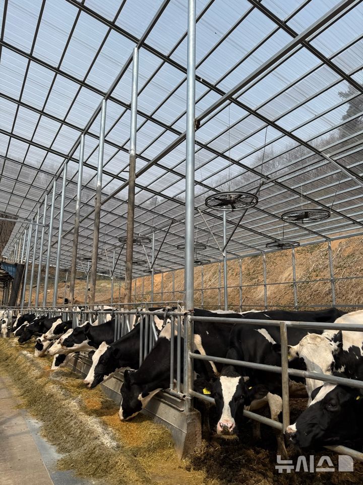 [용인=뉴시스]용인시의 한 축산농가(사진=뉴시스 DB)photo@newsis.com