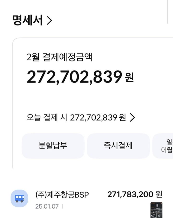 [서울=뉴시스] 2억7000만원이 넘는 금액이 결제된 카드 사용 내역. (사진출처: 네이버 네일동) 2026.01.23.