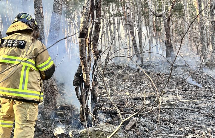 [보은=뉴시스] 충북 영동군 용화면 자계리 산불. (사진=영동소방서 제공) 2026.01.21. photo@newsis.com *재판매 및 DB 금지