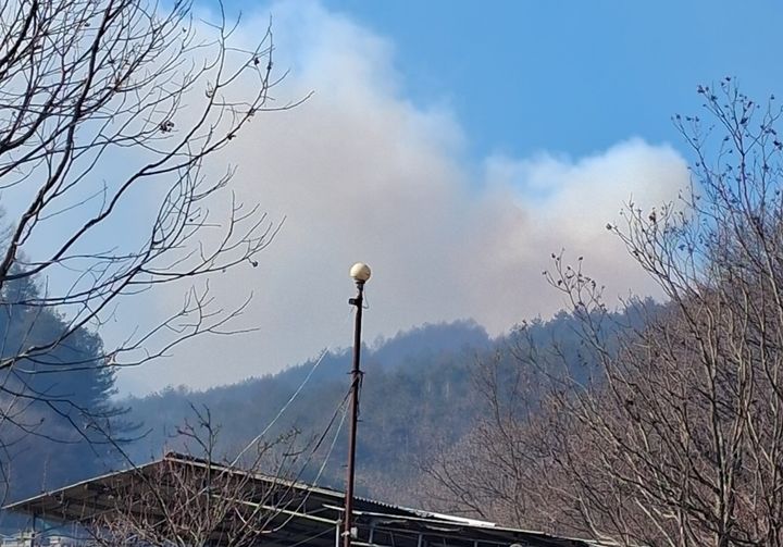  [봉화=뉴시스] 봉화군 재산면 현동리 인근 야산에서 불이 나 연기가 솟아오르고 있다. (사진=경북소방본부 제공) 2026.01.23. photo@newsis.com *재판매 및 DB 금지