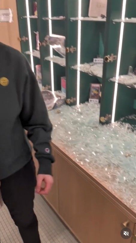 포켓몬카드 1억7천만원 턴 美 강도들…뜻밖의 감동 사연