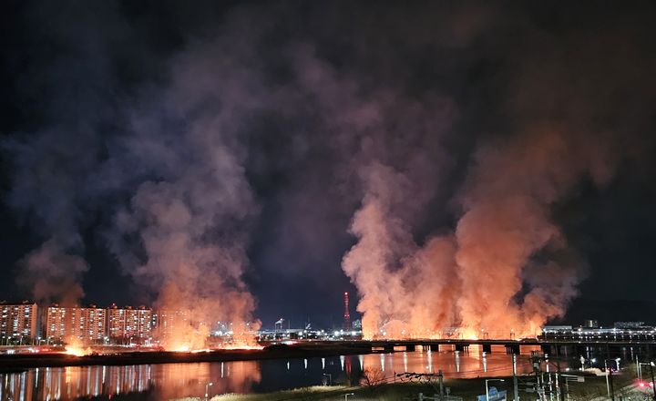 [울산=뉴시스] 24일 오후 울산 북구 명촌교 인근 갈대밭에서 불길이 올라오고 있다. 2026.01.24. (사진=독자 제공) photo@newsis.com *재판매 및 DB 금지