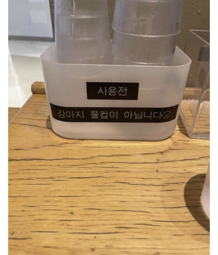 [뉴시스] 한 스타벅스 매장에서 고객용 물컵에 '강아지 물컵이 아닙니다'라는 안내문을 게시한 사진이 온라인상에서 확산되며 논란이 일고 있다. (사진=보배드림 캡처) *재판매 및 DB 금지