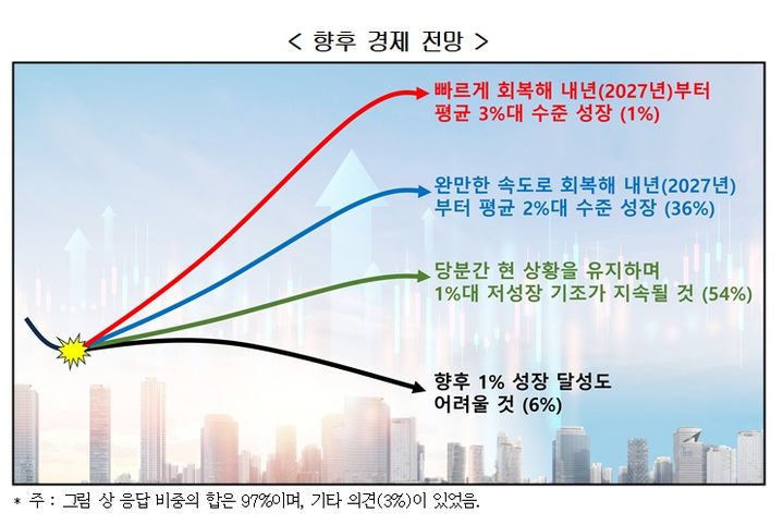 경제학자 100명 중 절반, "韓 경제, 1%대 저성장 지속"