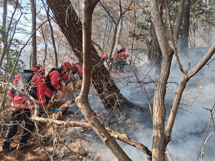 경주 산내면 산불…1시간여만에 주불 진화(종합)