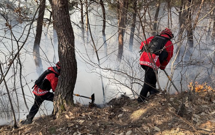 [괴산=뉴시스] 산불 진화 현장 (사진= 산림청 제공) 2026.01.25. photo@newsis.com *재판매 및 DB 금지