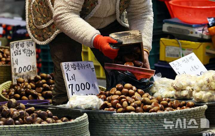 [서울=뉴시스] 최진석 기자 = 설 명절을 앞두고 주요 성수품 가격은 대체로 안정적인 흐름을 보이고 있는 25일 서울 청량리 농수산물시장에서 상인이 밤을 정리하고 있다. 2026.01.25. myjs@newsis.om