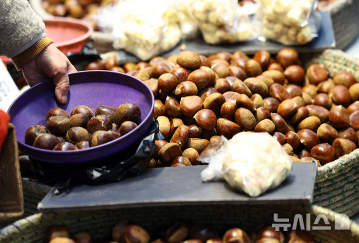 [서울=뉴시스] 최진석 기자 = 지난 1월 25일 서울 청량리 농수산물시장에서 한 상인이 밤을 정리하고 있다. 해당 사진은 기사와 직접 관련이 없습니다. 2026.01.25. myjs@newsis.om