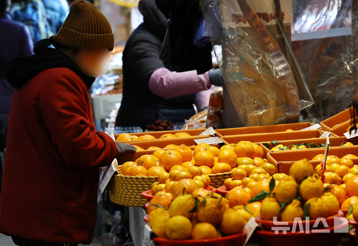 설 물가 잡는다…바가지요금 신고하면 24시간 내 현장조사