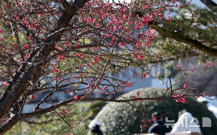 부산, 구름 많고 추운 날씨…낮 최고 8도