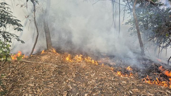 [창원=뉴시스] 지난 20일 경남 고성군 금남면 대치리 산불 현장. (사진=경남도 제공) 2026.01.26. photo@newsis.com *재판매 및 DB 금지