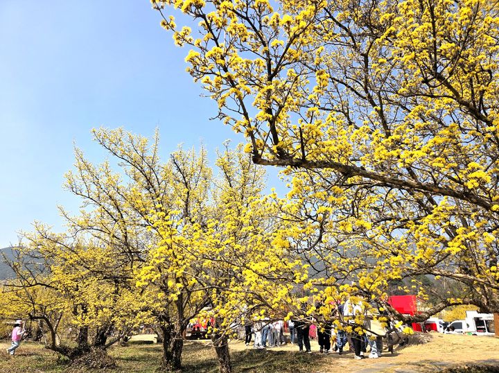 ㅇ *재판매 및 DB 금지