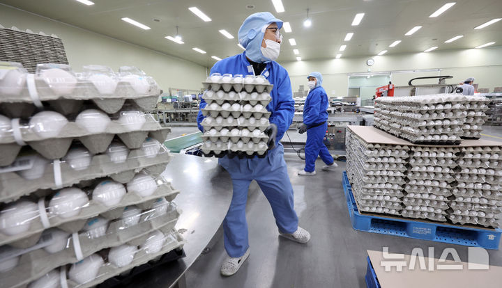 [천안=뉴시스] 강종민 기자 = 충남 천안의 한 계란 수입업체에서 직원들이 미국산 신선란 선별·포장 작업을 벌이고 있다. 2026.01.26. ppkjm@newsis.com