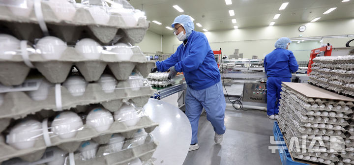 조류인플루엔자 확산에 계란 비상…美신선란 합동점검