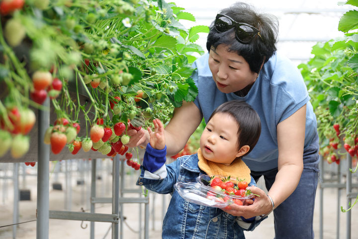 "손주 육아가 뇌 건강에 도움"…손주 돌봄의 뜻밖의 효과