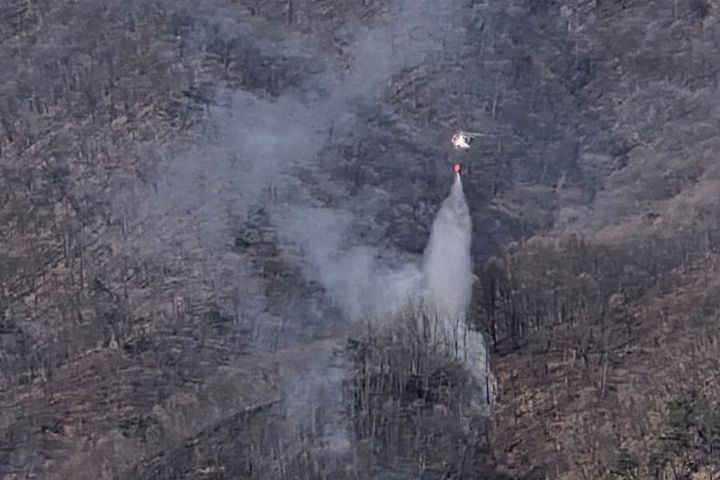 홍천 군부대 사격장에서 산불…1시간17분만에 진화됐다