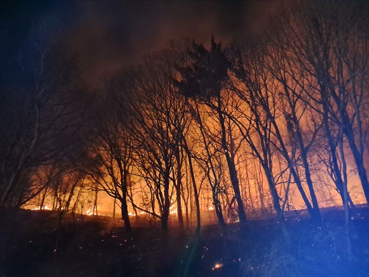 [고흥=뉴시스] 27일 오후 6시30분께 전남 고흥군 금산면 한 야산에서 불이 나 산림 당국이 진화 작업을 벌이고 있다. (사진=전남소방 제공) 2026.01.27. photo@newsis.com *재판매 및 DB 금지