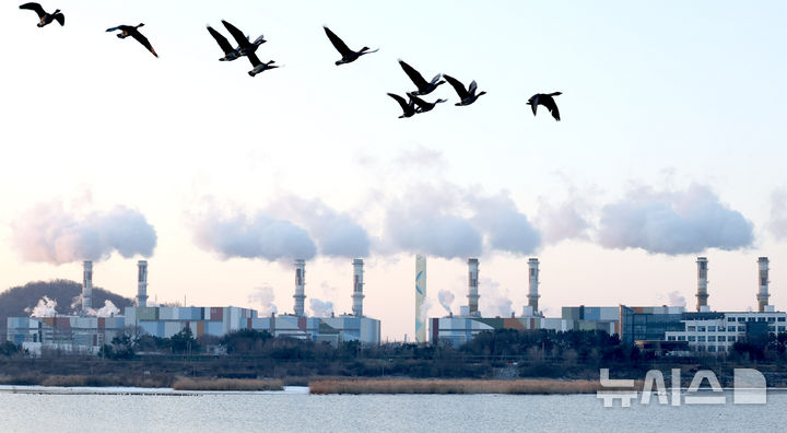 문 닫는 태안석탄발전 1호기…'2040 완전 탈석탄' 속도[에너지 대전환③]