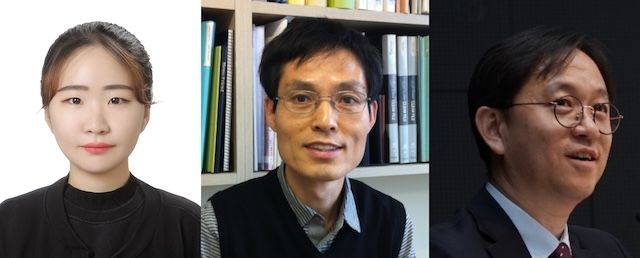 '지리·언어적 특성'과 연관된 OTT 시청 패턴…세종대 연구 발표