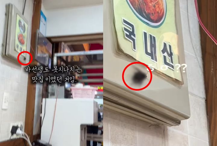 떡볶이 맛집서 기겁…'달인' 명패 아래 손가락만 한 바퀴벌레