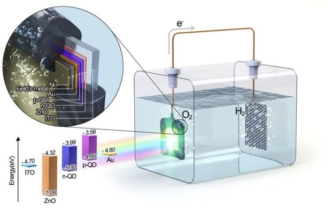 [울산=뉴시스] 고가의 희생제 없이도 수소를 생산하는 금속 황화물 기반 광전극 (사진=UNIST 제공) 2026.01.29. photo@newsis.com *재판매 및 DB 금지