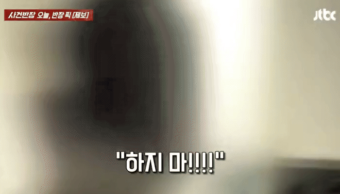 [뉴시스] 지난 28일 JTBC '사건반장'에 한 남성이 헤어진 연인과 다투던 중 반려견을 던지는 영상이 공개돼 누리꾼들의 공분을 샀다. (사진=JTBC 사건반장 갈무리) *재판매 및 DB 금지