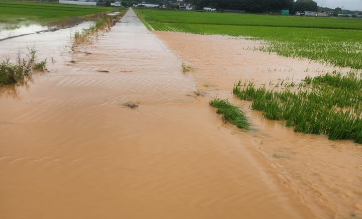[태안=뉴시스] 지난해 7월 집중호우로 충남 태안군 고남면 누동지구 농경지와 농로가 물에 잠긴 모습. (사진=태안군 제공) 2026.01.29. photo@newsis.com *재판매 및 DB 금지