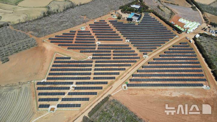 [광주=뉴시스] 전남 해남 보해매실농원에서 진행 중인 태양광 발전 시설 공사.(시공사 제공)