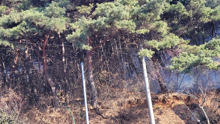 홍성 서부면 산불 1시간 만에 진화…인명 피해 없이
